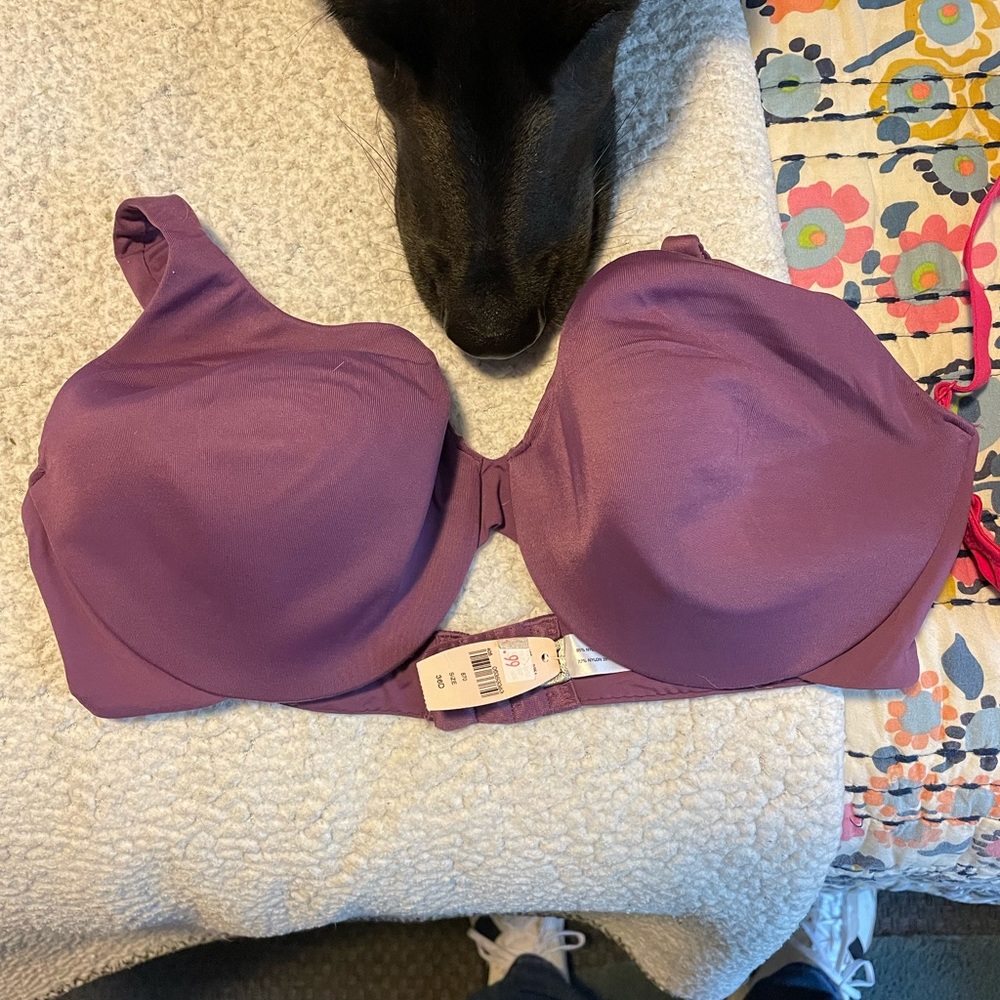 brand new victoria secrets ipex bras